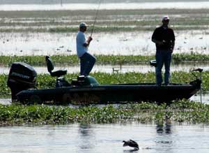 Bass Fishing on Kissimmee's Lake Toho