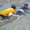 Bathtub Beach near Orlando is a favorite of families