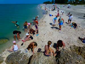 Shelling is the most common activity on Captiva Island