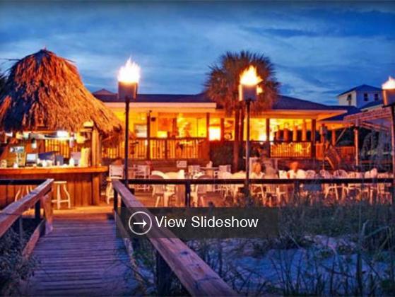 The Blue Parrot | 2FLA Florida's Vacation and Travel Guide