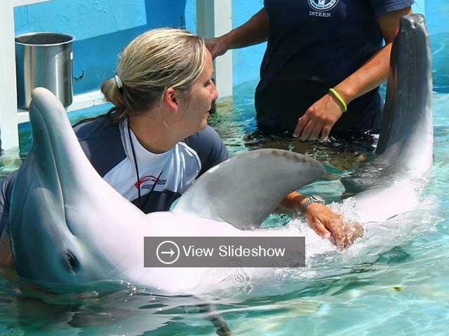 Clearwater aquarium coupons 2019