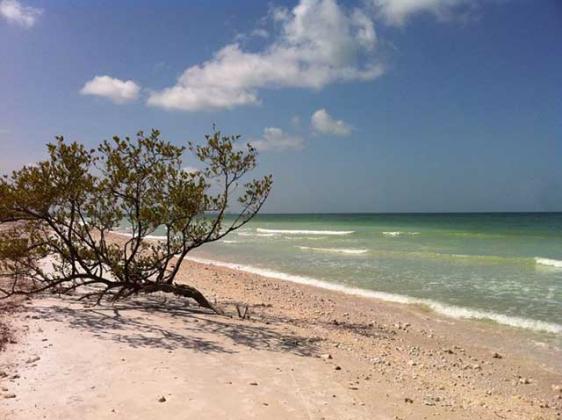 Distance From Fort Lauderdale To Marco Island Distance From Fort Lauderdale To Marco Island