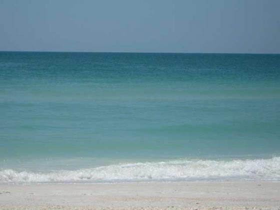Anna maria island coupons